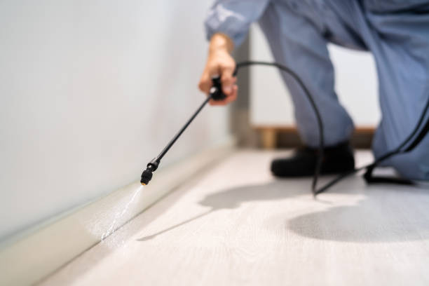 Licensed Termite Control service in Oakwood, PA - Nex Pest Control
