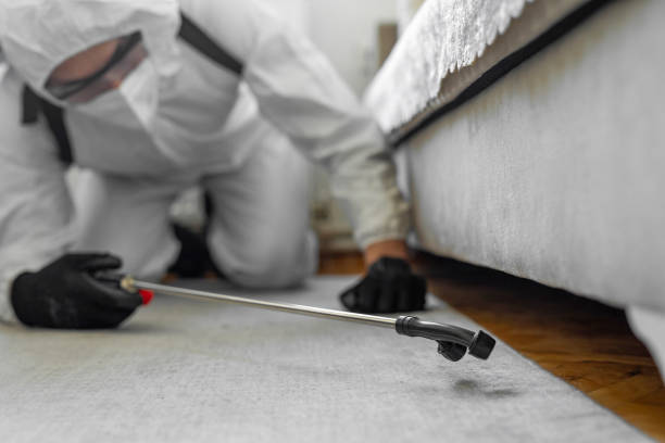 Professional Termite Control technician working in Oakwood, PA