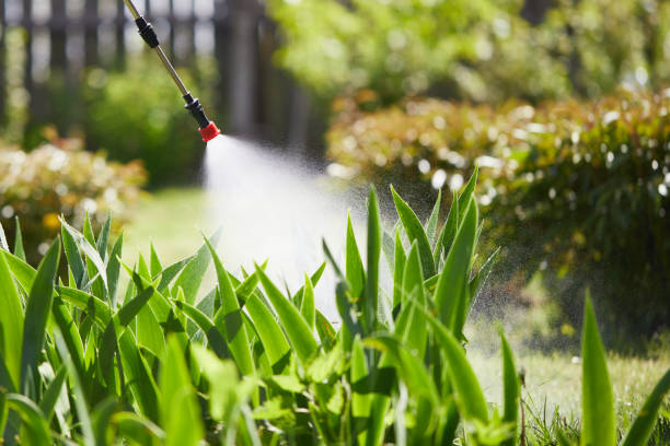 24/7 Emergency Termite Control experts in Oakwood, PA