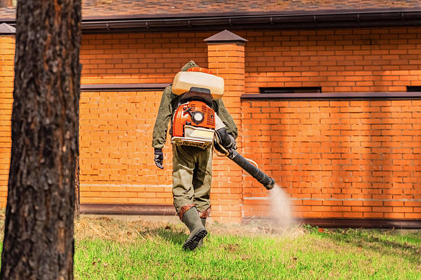Trusted Bed Bug Control service in Oakwood, PA - Nex Pest Control